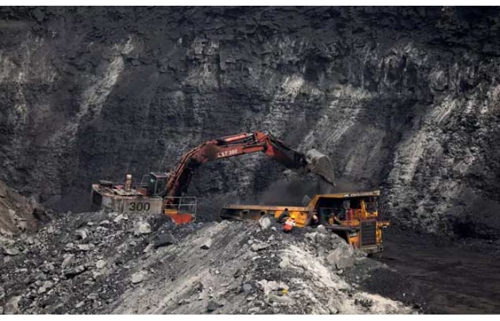 Coal